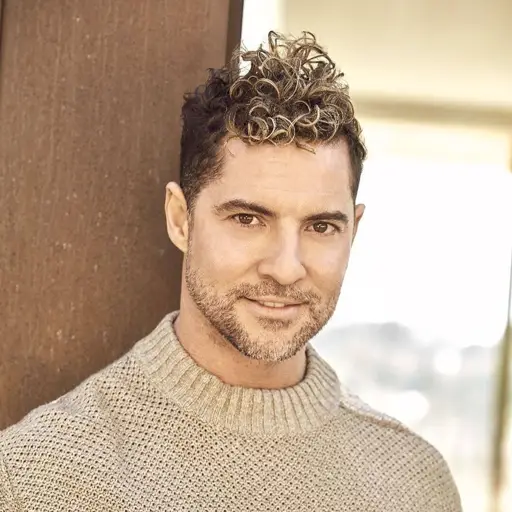 David Bisbal at Torrejón de Ardoz, Spain