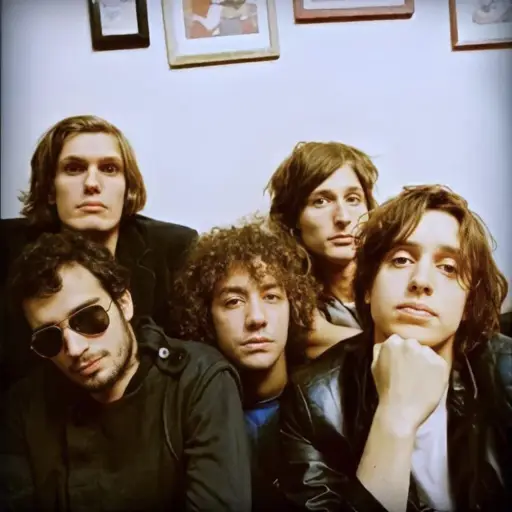 The Strokes at Clarkston, MI