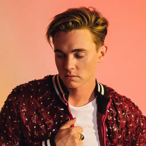 Jesse McCartney at Paw Paw, MI