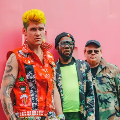 Too Many Zooz