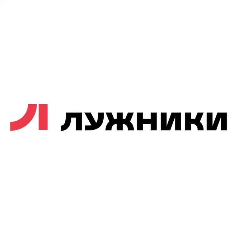 Стадион Лужники
