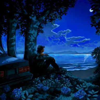 Even When I'm Happy I Listen To Sad Music