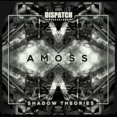 Shadow Theories