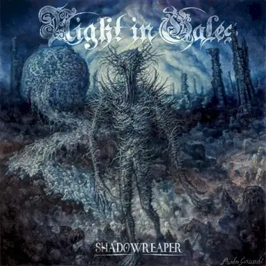 Into the Evergrey
