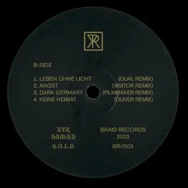 G.O.L.D / Technofossil Remix Split