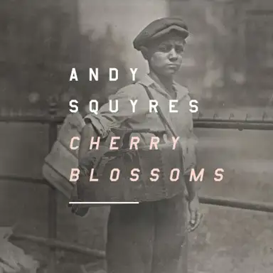 Cherry Blossoms