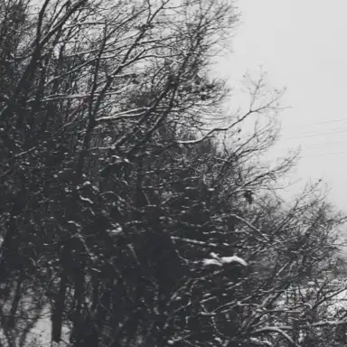 Short Songs for the Long Winter