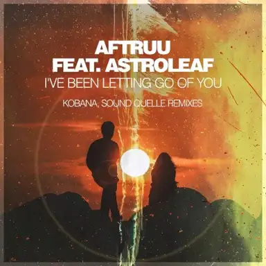 I've Been Letting Go of You (Remixes)