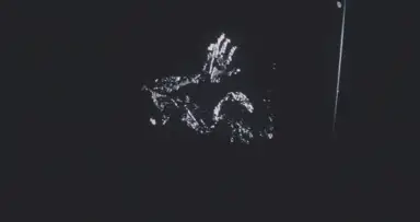 Guardian