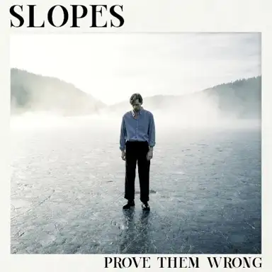 Prove Them Wrong