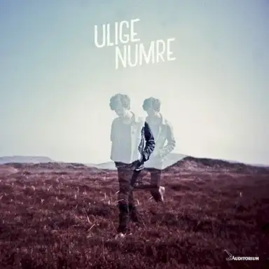 Ulige Numre