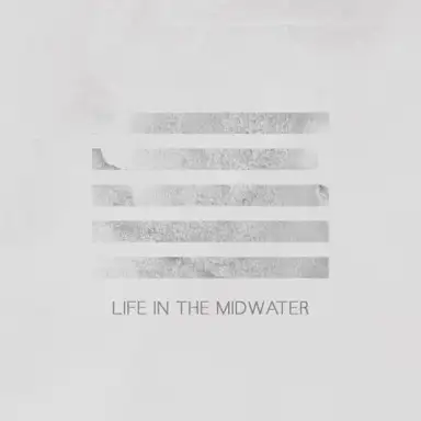 Life in the Midwater