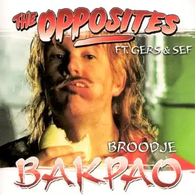 Broodje Bakpao