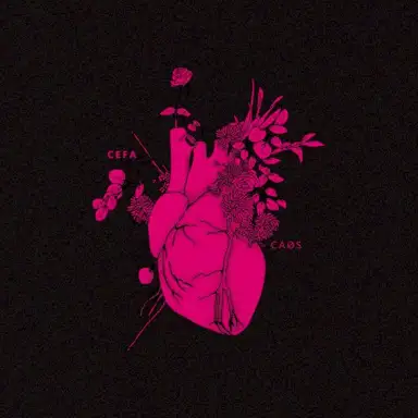 CAØS REIMAGINADØ