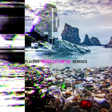 Never Let Me Go (remixes)