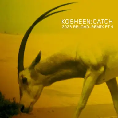 Catch (2025 Reload-Remix, Pt.4)