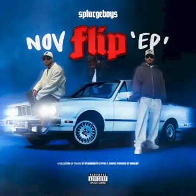Nov Flip