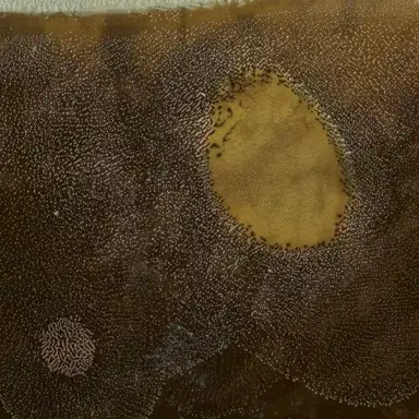 a floor, walls, and a ceiling