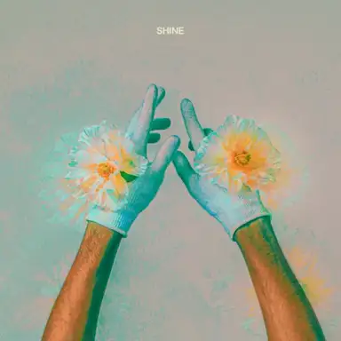 Shine