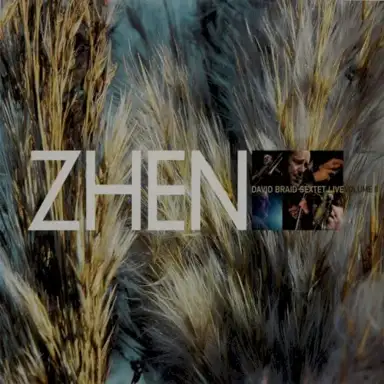 ZHEN: David Braid Sextet Live II