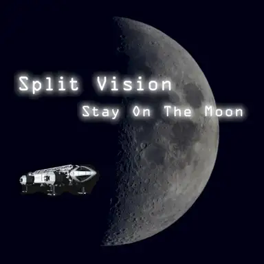 Stay on the Moon