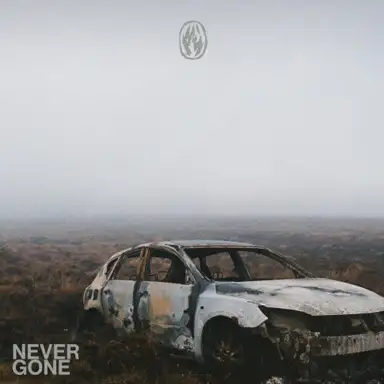 Never Gone