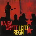 I ditt regn