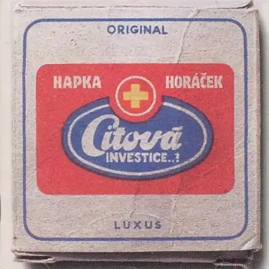 Citová investice