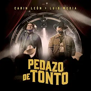 Pedazo de tonto