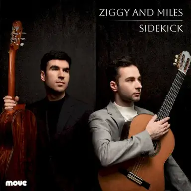 Sidekick