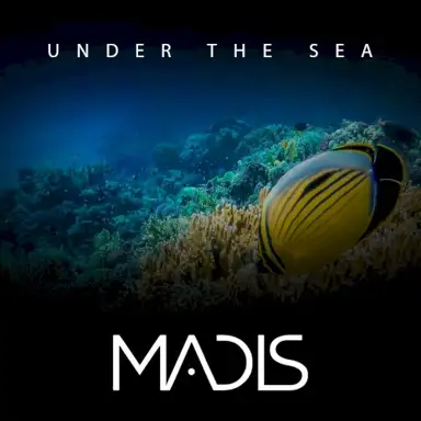 Under the Sea