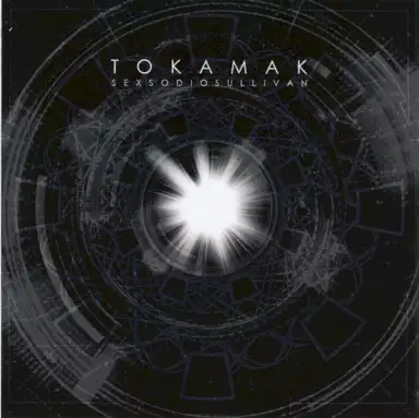 Tokamak – Stellarator