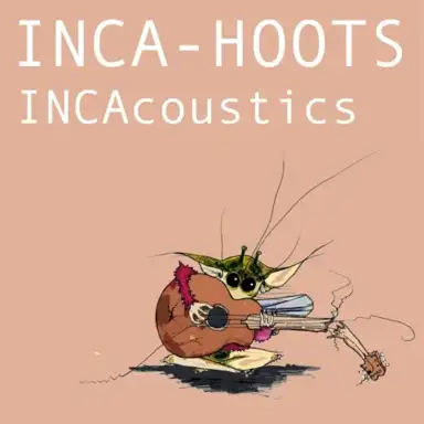 INCAcoustics