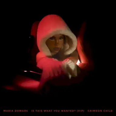 Is This What You Wanted? (Crimson Child VIP)