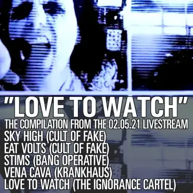 Love to Watch