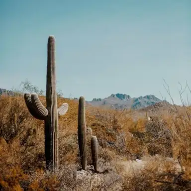 Santa Fe