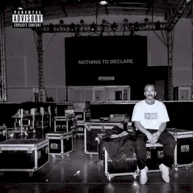 Nothing to Declare