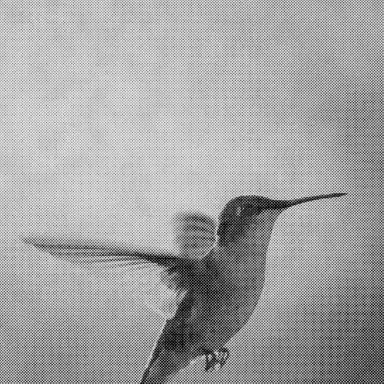 Codinome beija‐flor / O tempo não para