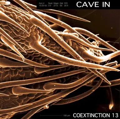 Coextinction Release 13