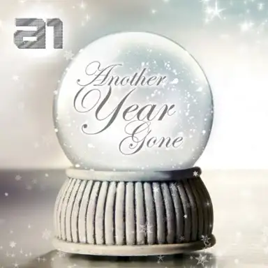 Another Year Gone