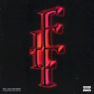 Feel Like This (remix)