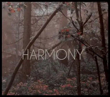 Harmony