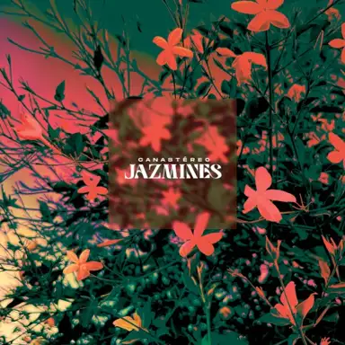 Jazmines