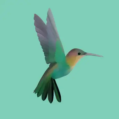 Hummingbird