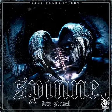Spinne