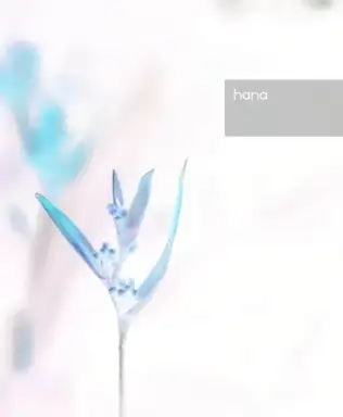 hana