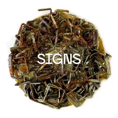 Signs