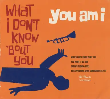 What I Don’t Know ’Bout You