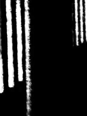 s/∞ 03