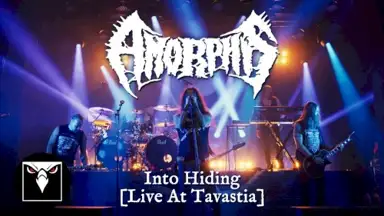 Into Hiding